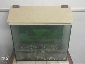 Fish tank for sale with wallpaper stones and a