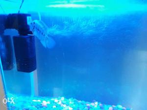 Fish tank width 1 ft height 3ft air pump light 5.