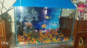 Hi..selling my new fish aquarium. the total price