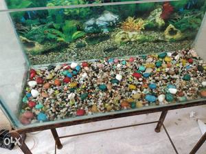 I am selling aquarium.. Its 3 feet long and it comes with