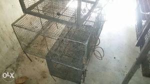 Iron cages for pets muyal kozhi kaada