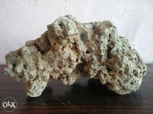Marine rock for fish tank 15kg only in 