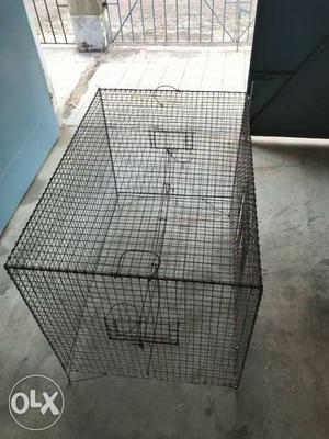 Metal Bird cage