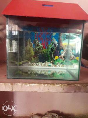 New aquarium lowest in bhubaneswar contact