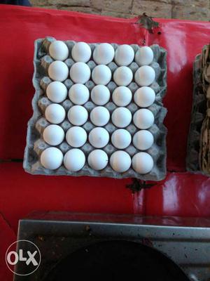 Tray Of White Egg