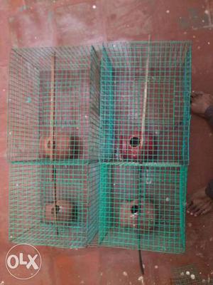 Two Green Wire Pet Cages