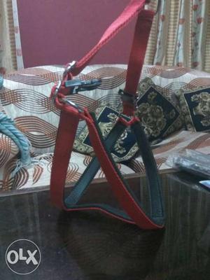 Unused Red And Black dog harness with Leash medium size