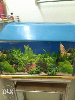 Used aquarium with steel stand. Dimensions