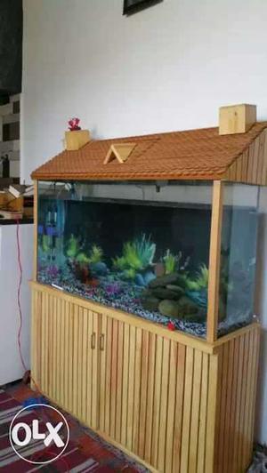 Wana sell my aquarium