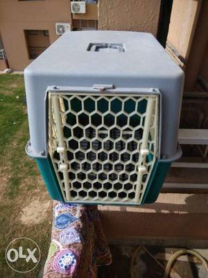 White And Green Pet Carrier
