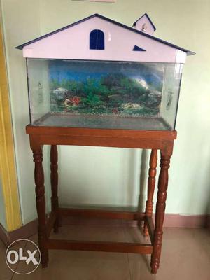 Aquarium 2x1x1 feet, with top and wooden stand
