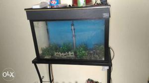 Fish tank is very good condicon stand light
