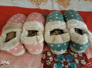 Attractive warm shoes