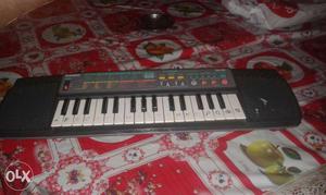 CASIO Black And White Electronic Keyboard