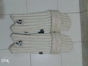 Cricket Kit sg Pads sun Shine Gloves flx Thigh