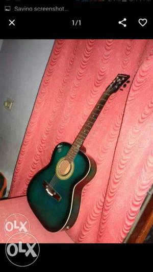 Green And Black Acoustic Guitar Screenshot