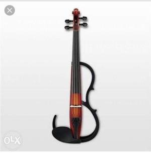 I wanted an electric violin