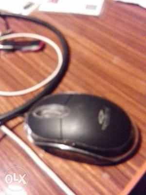 Mouse for sale