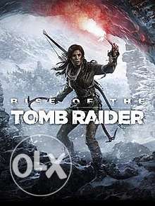 Rise of tomb raider PC game working