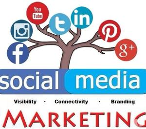 Social Media Marketing Agency In Mumbai - Digital Genie