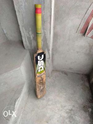 Brown DSC Cricket Bat