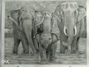 Elephants - Pencil sketch of size 28" L x 22" B.