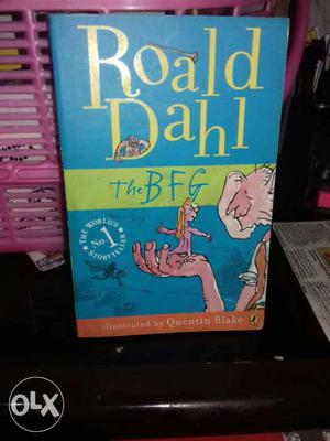 Roald Dahl The BFG Book