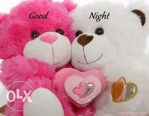 Two Pink And White Bear Plush Toys