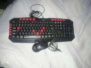Black And Red Computer Keyboard And Black Mouse