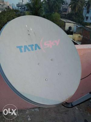 Gray Tata Sky Parabolic Antenna