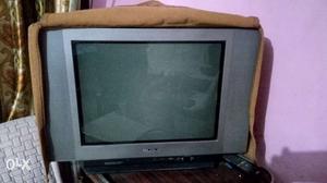 SONY 21 Inch Flat Screen TV