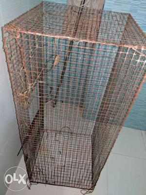 2 big cages at Greenfield City Behala