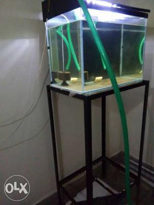 2ft used fishtank for sale with stand