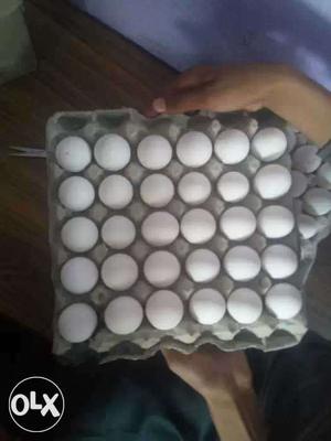 30 Pcs White Eggs
