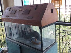 42 inch / 15 inch Acquarium with wooden top