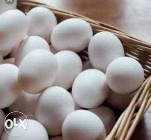 55 rupees dozen free home delivery of eggs