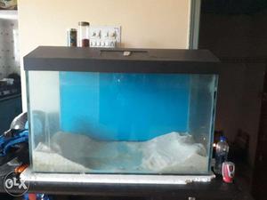 Aquarium 3 ft Length with 2ft Breadth with internal filter