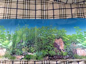 Aquarium Wallpaper 3 ft