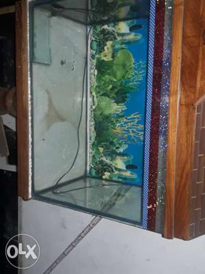 Aquarium new only 2 month use with colourful stone