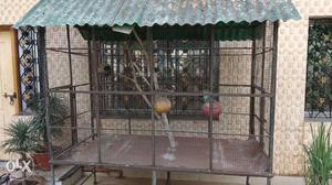 Bird Cage Measurements -- height 6ft length 6 ft