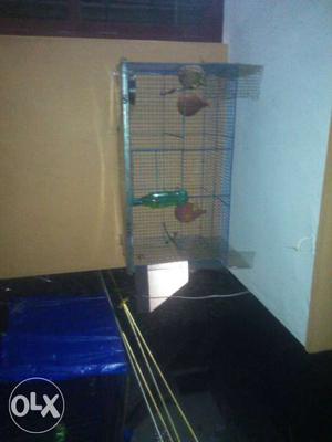 Bird cage for bird