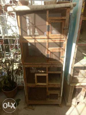 Bird's cage for sale 3 months old