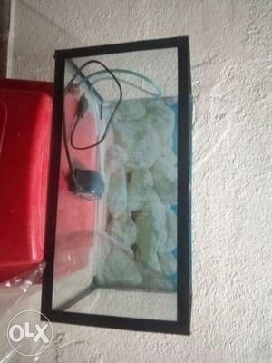 Brand new fish tank with oxygen machine