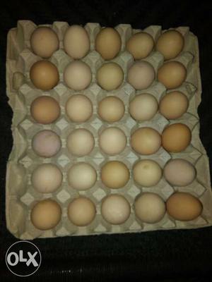 Brown And White Eggs
