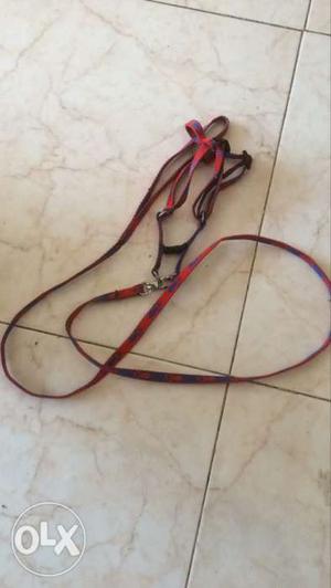 Dog Belt for sale