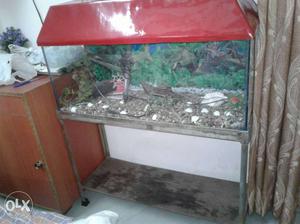 Fish Aquarium Red Coloured Of Size(ft)