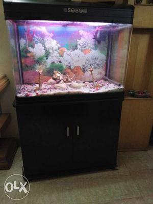 Fish Aquarium Sobo 4ft