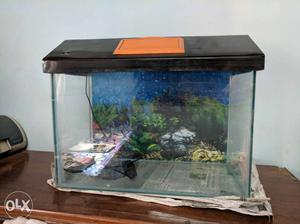 Fish aquarium comes with Led light fitted in it.