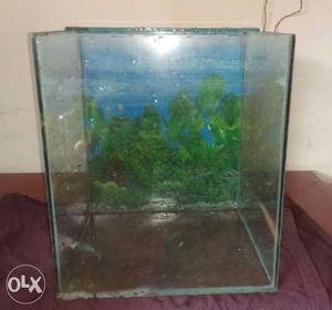 Fish tank.Length 18 inch and Breadth 12 inch...