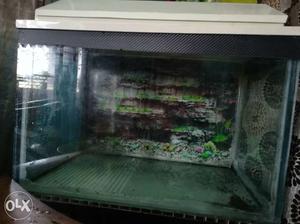 Fish tank in excellent condition with rocks pebless